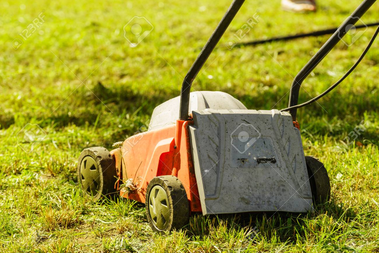 Professional gardening services