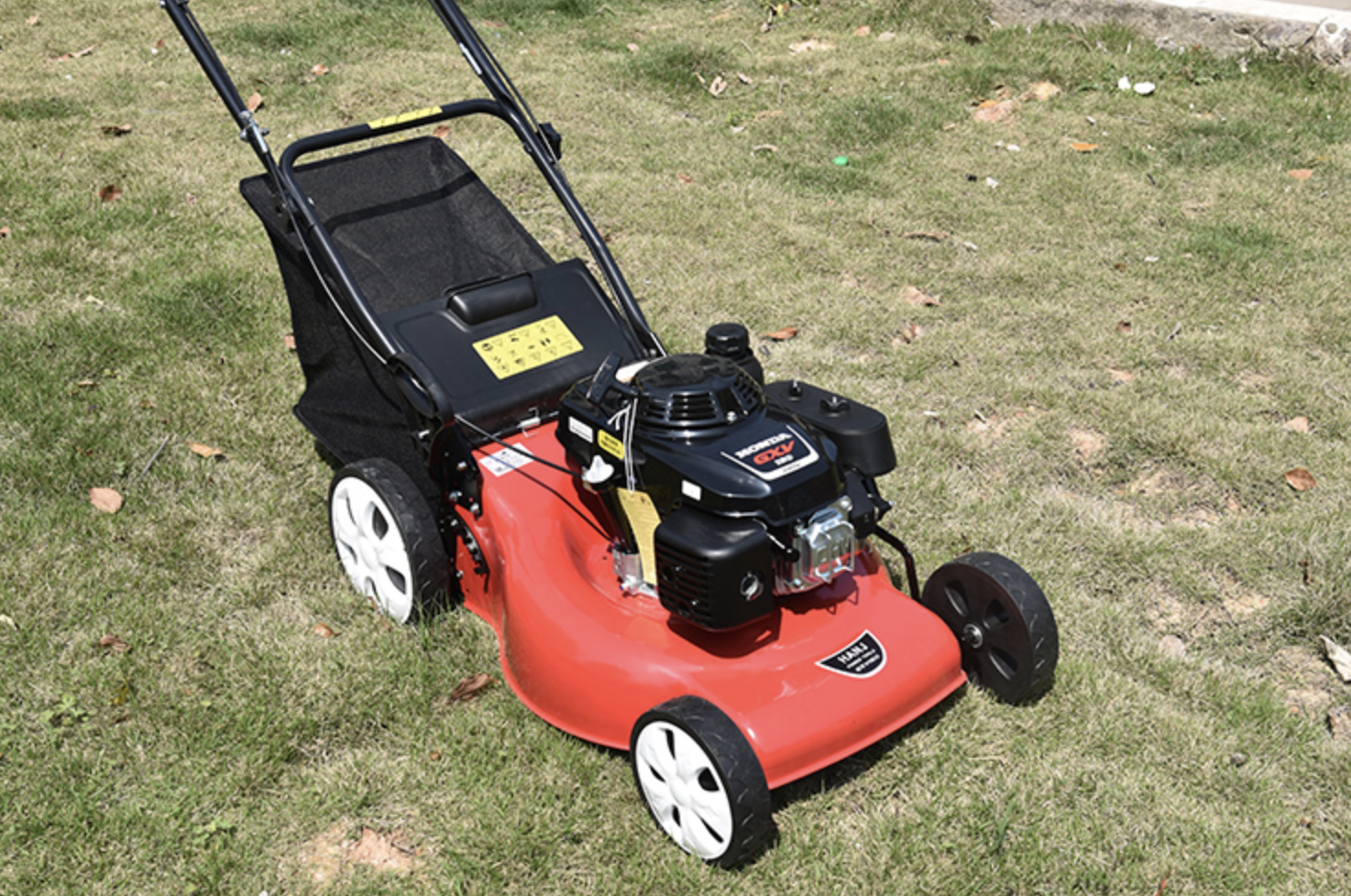 Professional gardening services