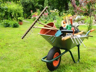 Professional gardening services