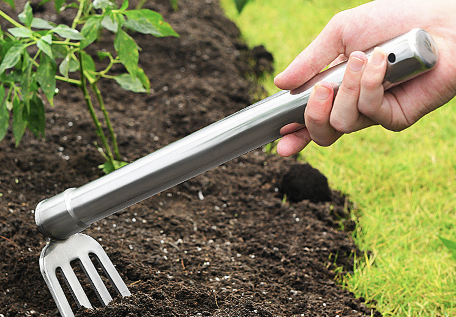 Professional gardening services